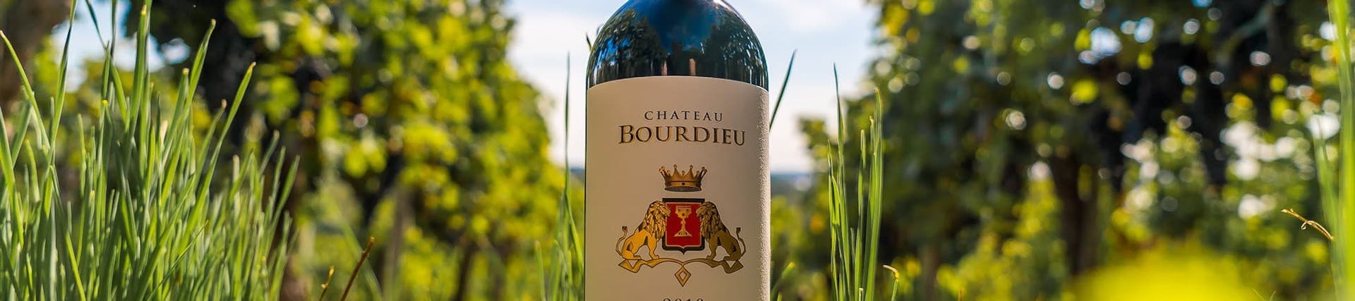 Luc Schweitzer. Wijnmaker Luc Schweitzer. Wijnmaker