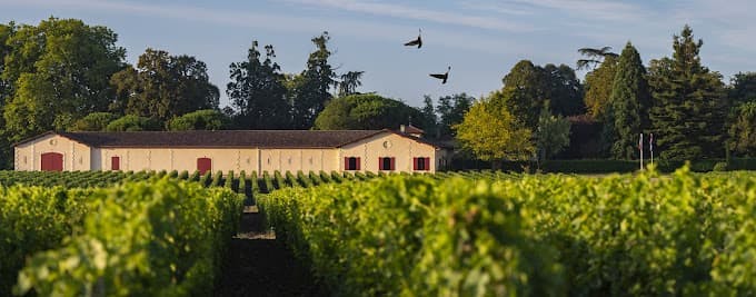 Jean-Christophe Mau. Eigenaar