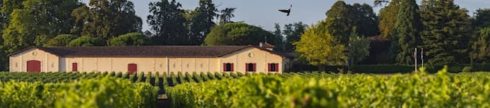 Jean-Christophe Mau. Propriétaire Jean-Christophe Mau. Propriétaire