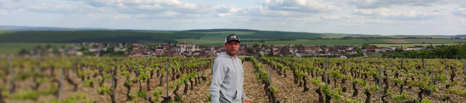 Steve Lemoule. Vigneron Steve Lemoule. Vigneron