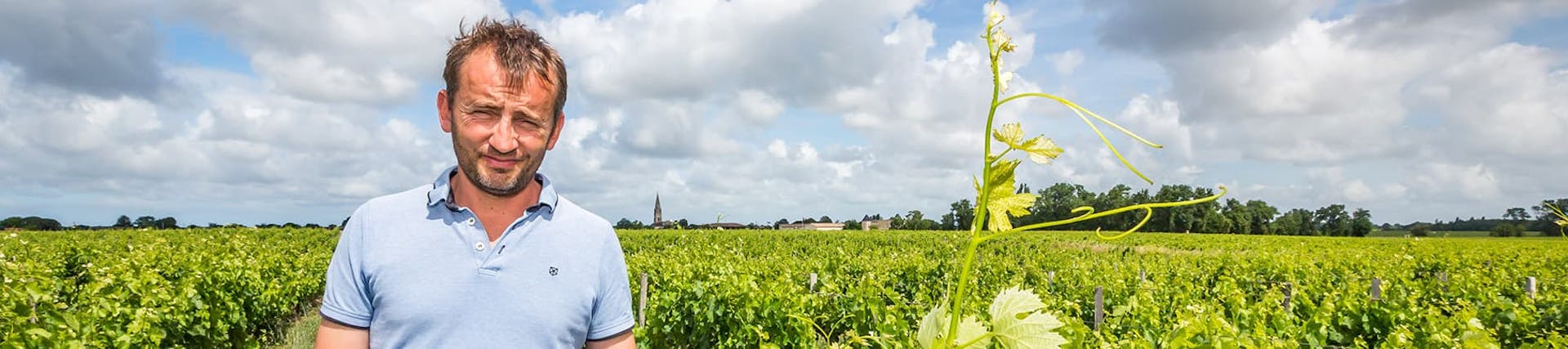 Jérome Bibey. Vigneron Jérome Bibey. Vigneron