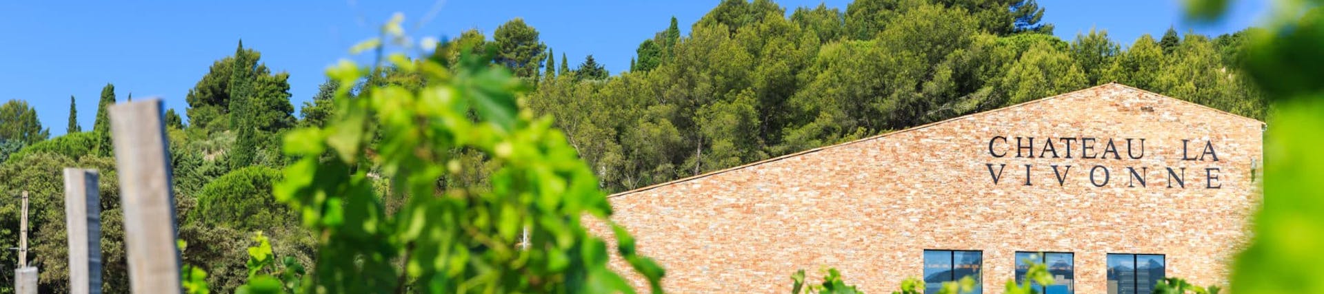 Michel Benhaim. Wijnmaker Michel Benhaim. Wijnmaker