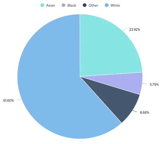 Pie chart showing the ethnic background of engineers on cord