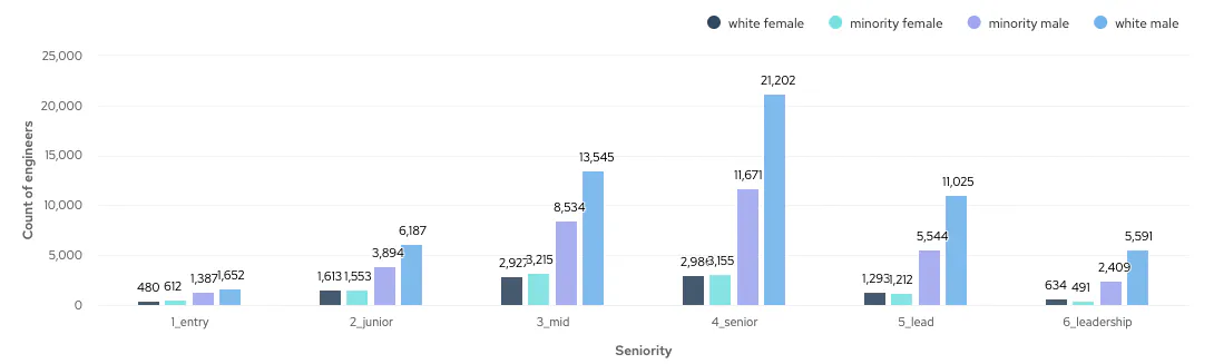 Bar chart showing number of engineers on cord of different gender and ethnic backgrounds by seniority