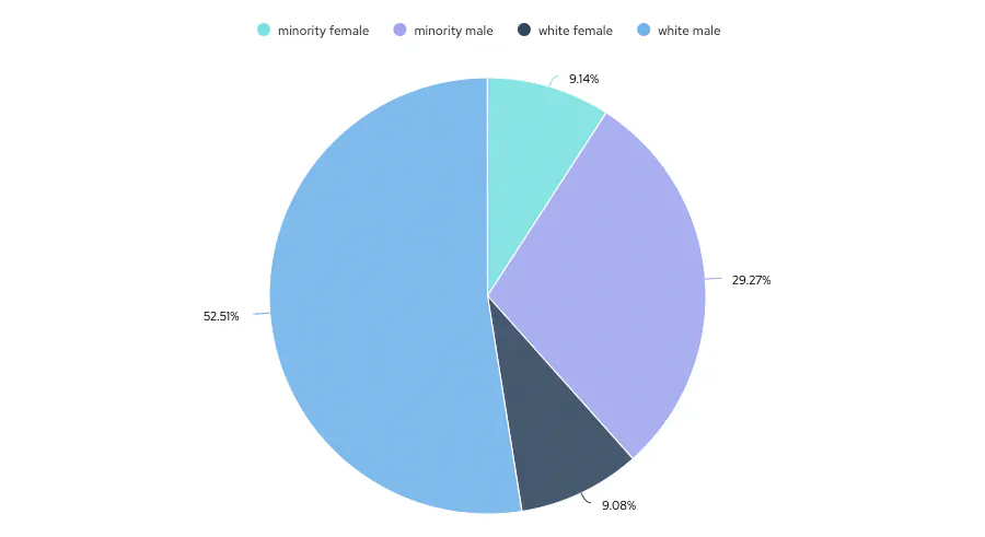 Pie chart showing percentages of minority female, minority male, white female and white male engineers on cord
