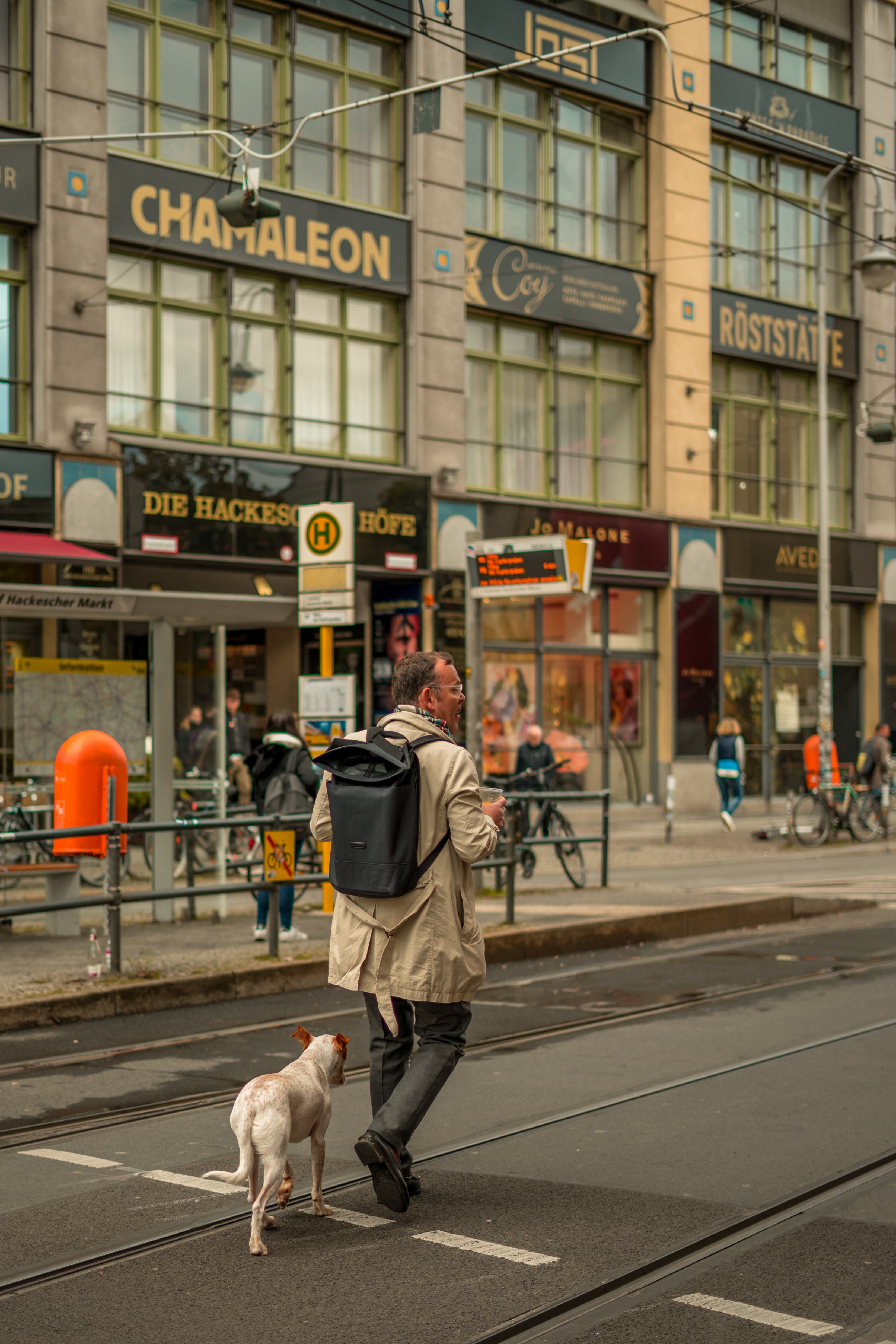 A man walking a dog across a street with tram tracks and German signage in the background