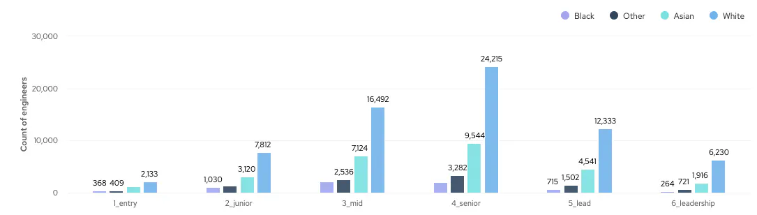 Bar chart showing ethnic background of engineers of different seniority levels