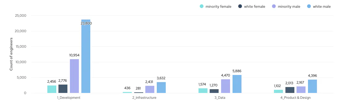 Bar chart showing ethnicity and gender of engineers in different technical functions