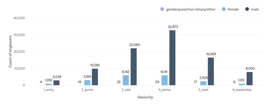 Graph showing number of genderqueer/non-binary, female and male engineers of different seniorities on cord