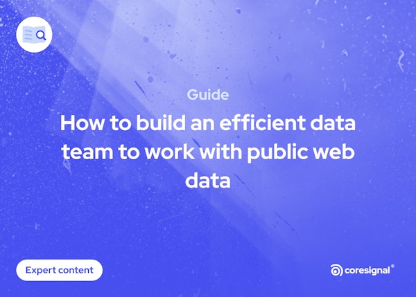 how to build an efficient data team