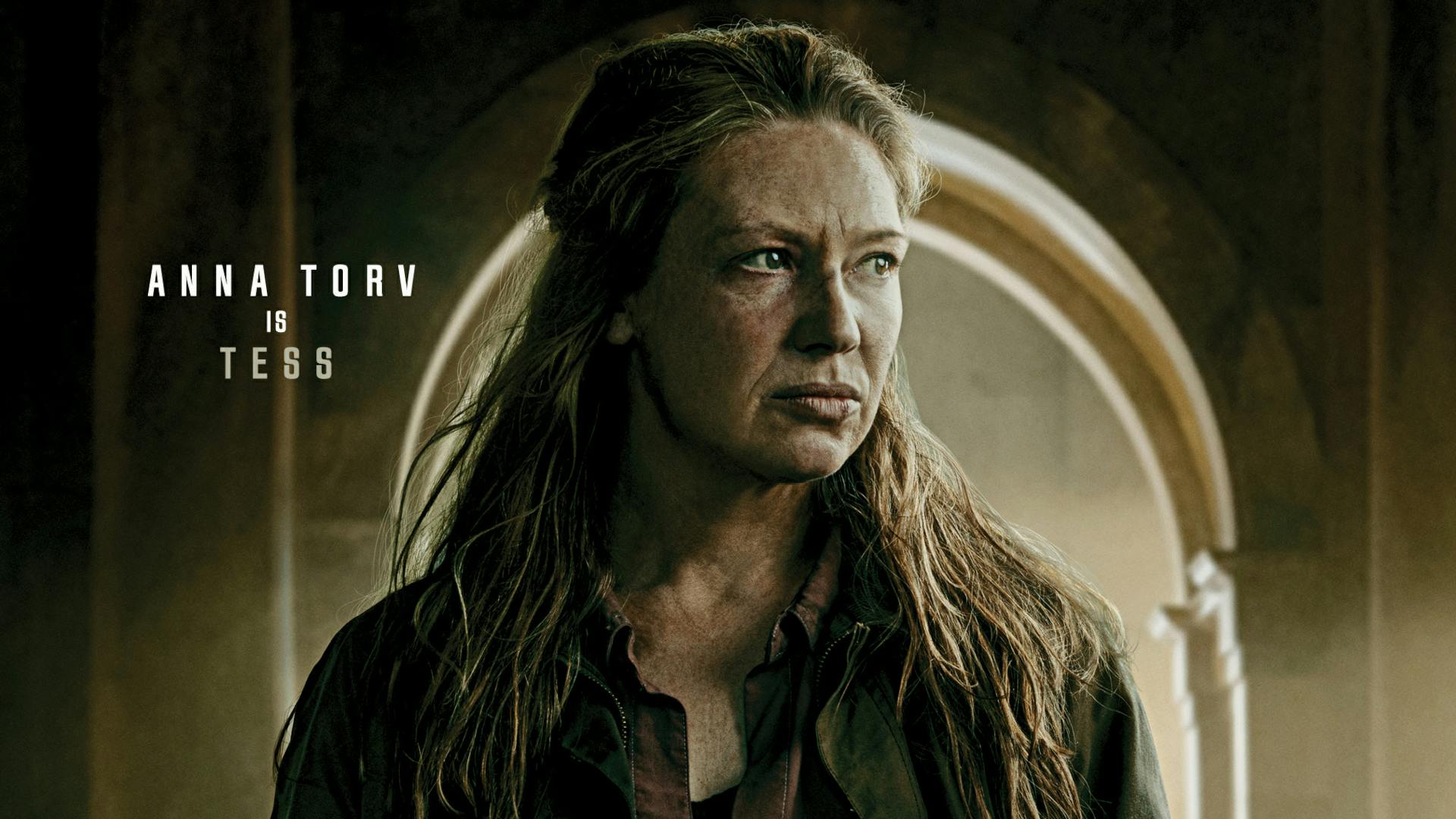 MBTI personality for videogame characters from HBO show the last of us tess by anna torv