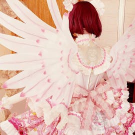 Sakura cosplay wings back view