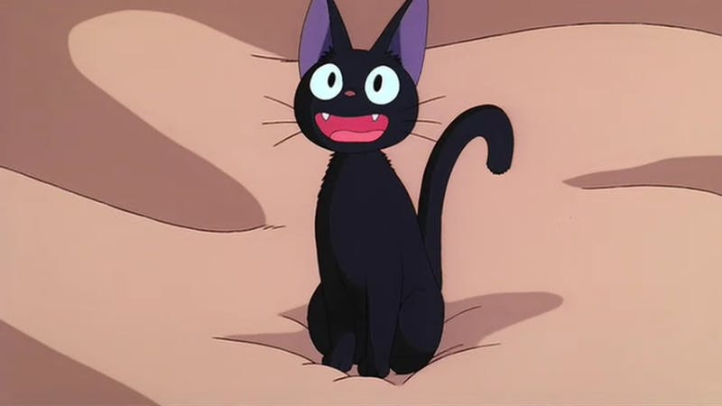 Jiji halloween cosplay idea. Easy black cat costume or cosplay