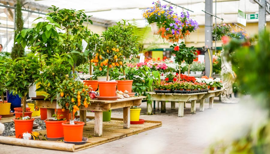 Magasin Côté Nature Cambrai