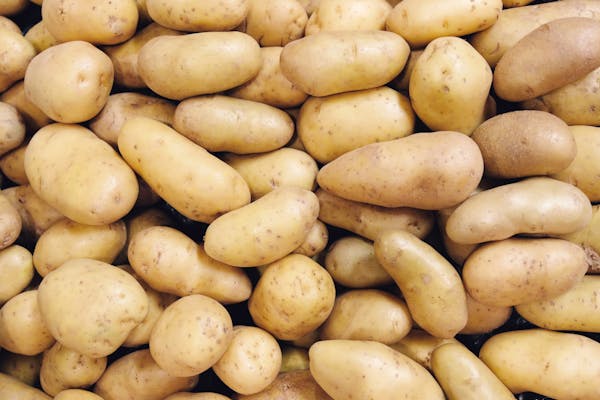 Plants de pommes de terre 1 sac acheté = 2ème à -50% du 17 février au 5 mars 