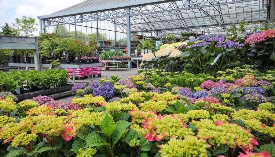 Magasin Côté Nature Alençon