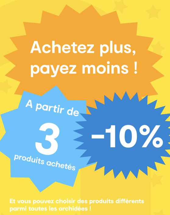 Photo du produit Orchidées au choix - prix dégressifs