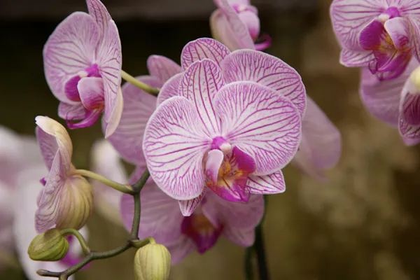 Des idées cadeaux originales par milliers !