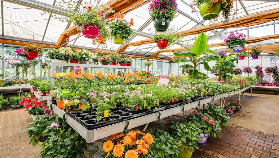 Magasin Côté Nature Craponne