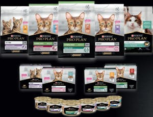 Photo du produit Aliment Pro Plan chat