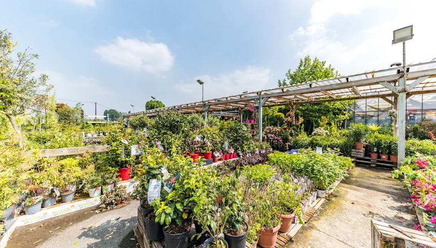 Magasin Côté Nature Béthune