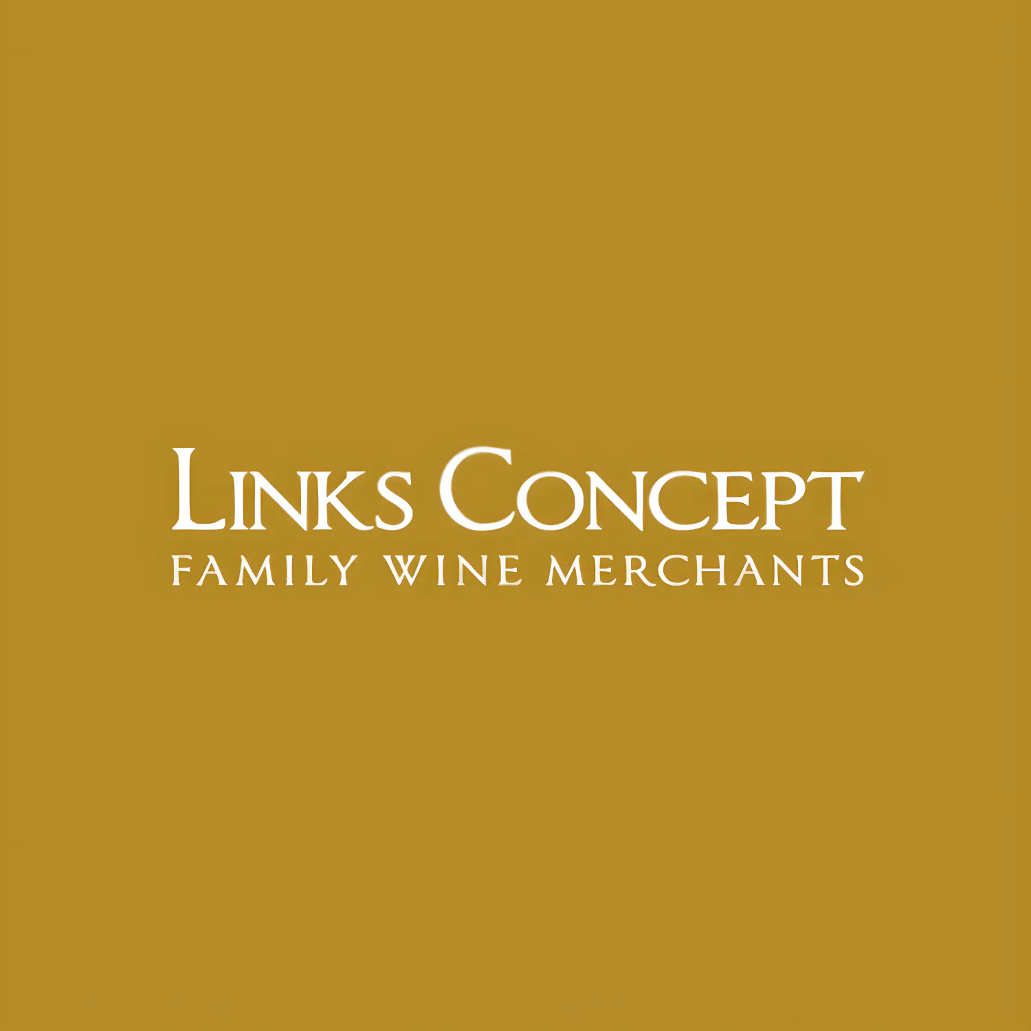 links concept logo