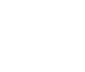the wine experience logo