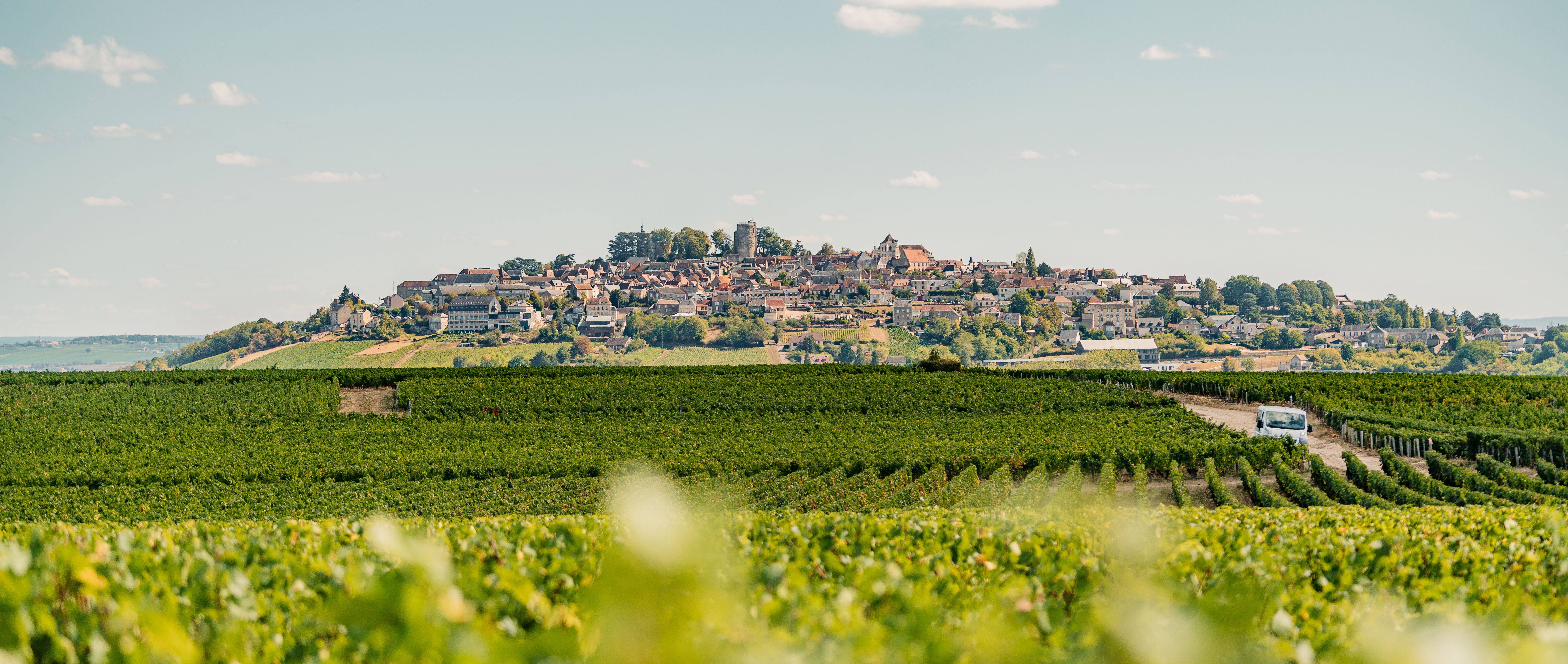 Sancerre-spring-wines