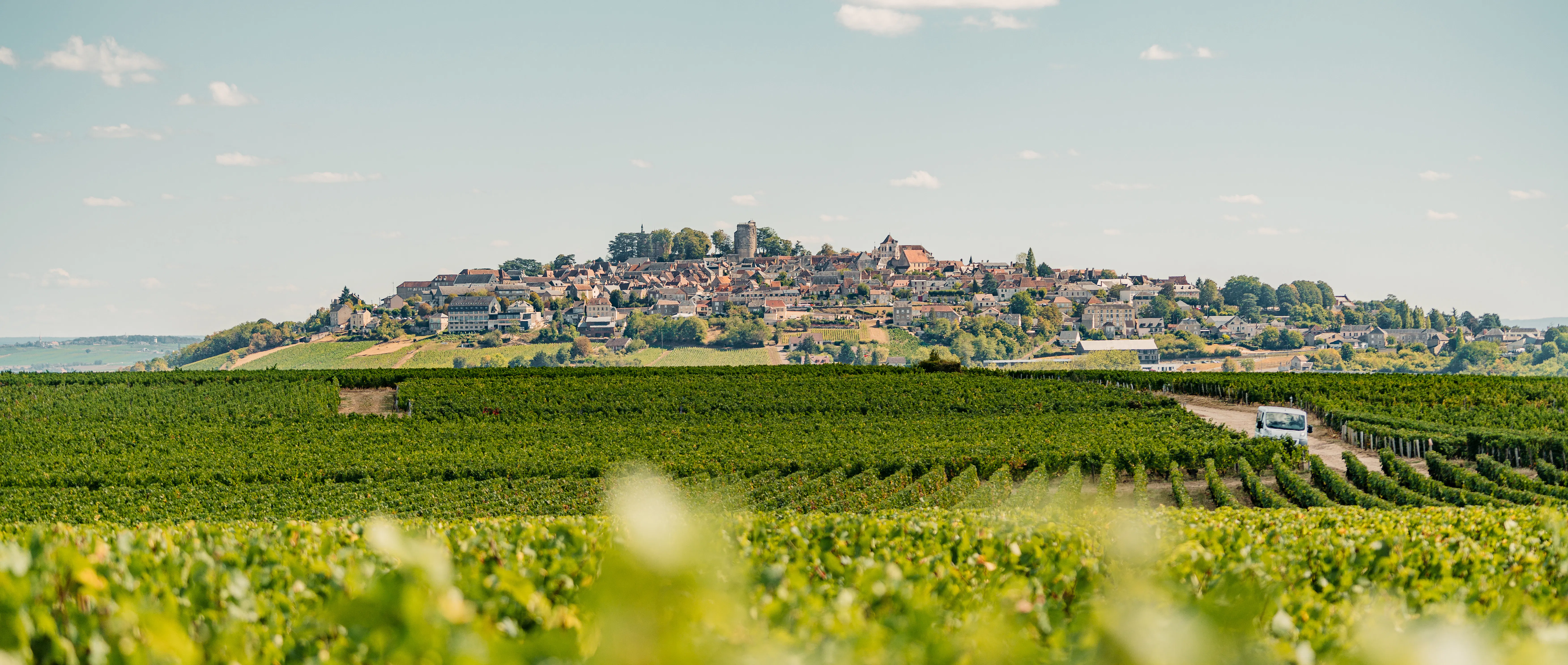 Sancerre-spring-wines
