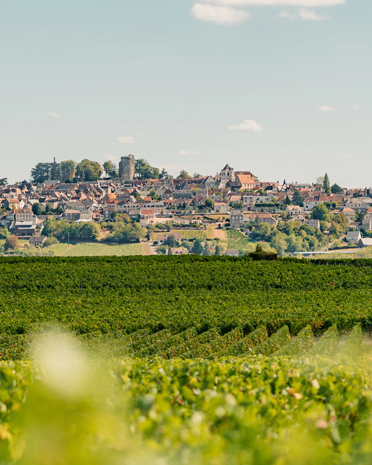 Sancerre-spring-wines