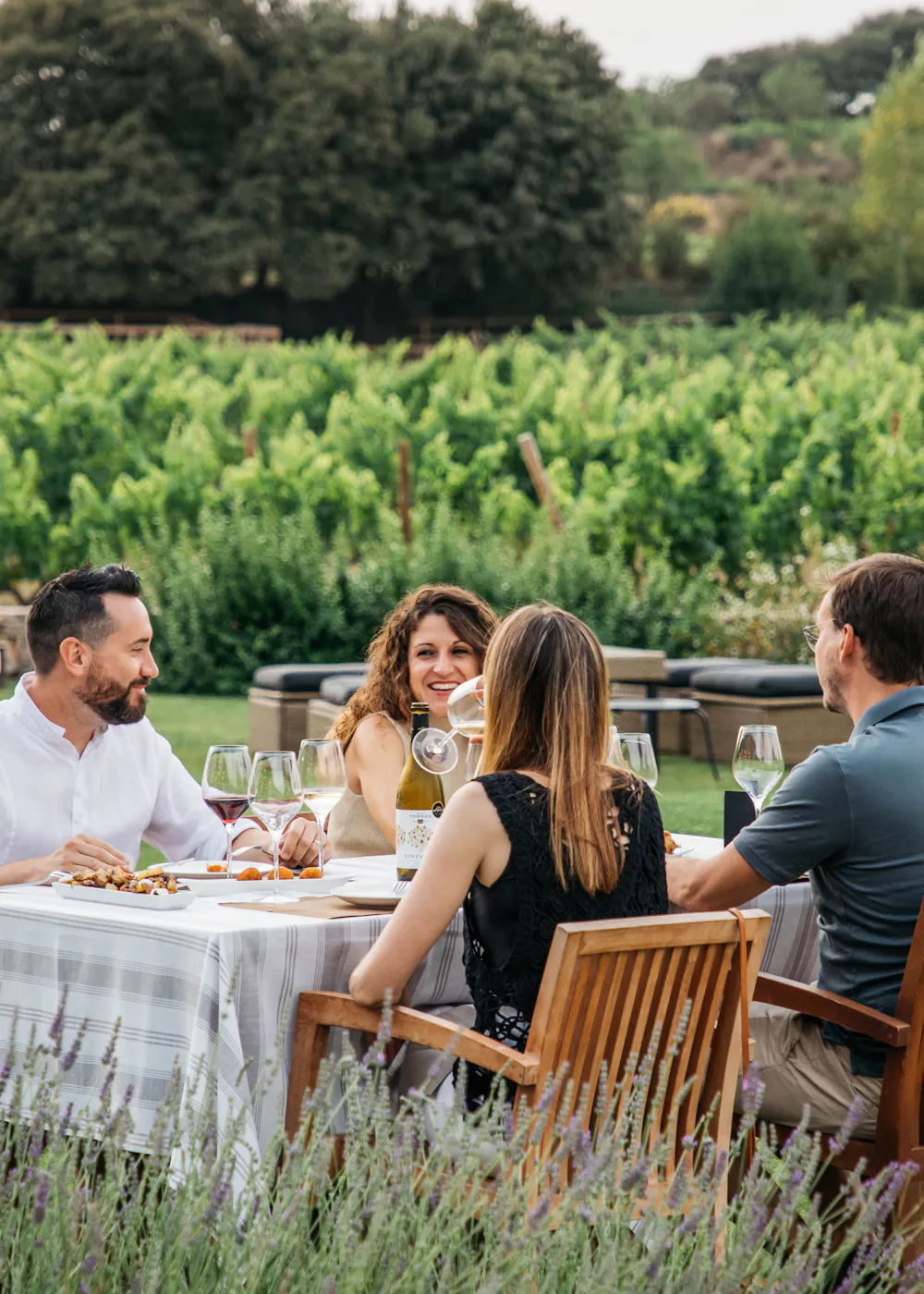 Familia Torres Vineyard