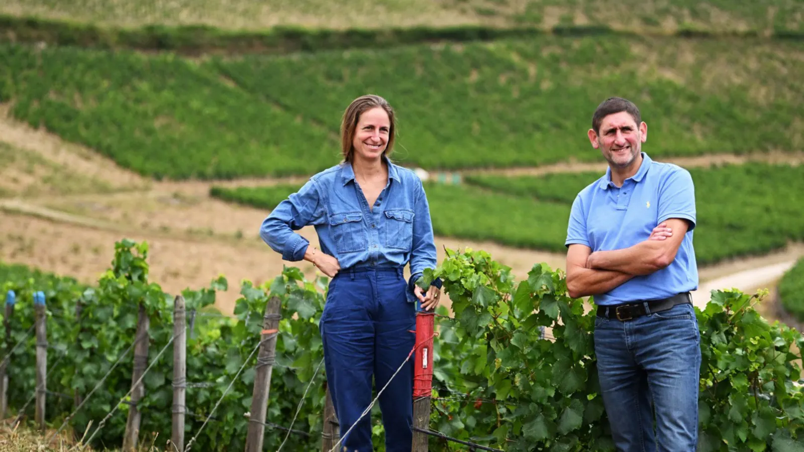 Domaine William Fèvre