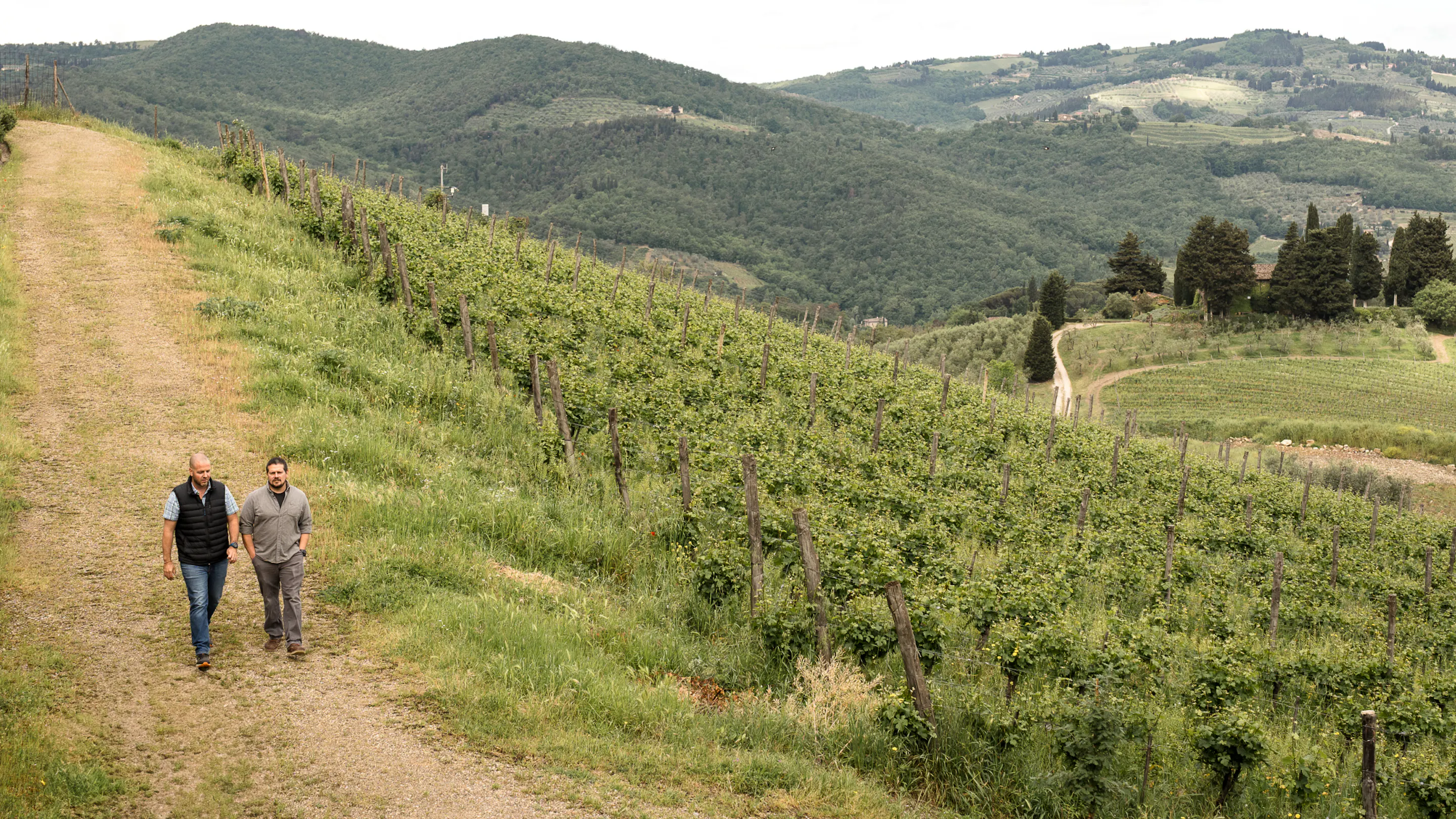 querciabella