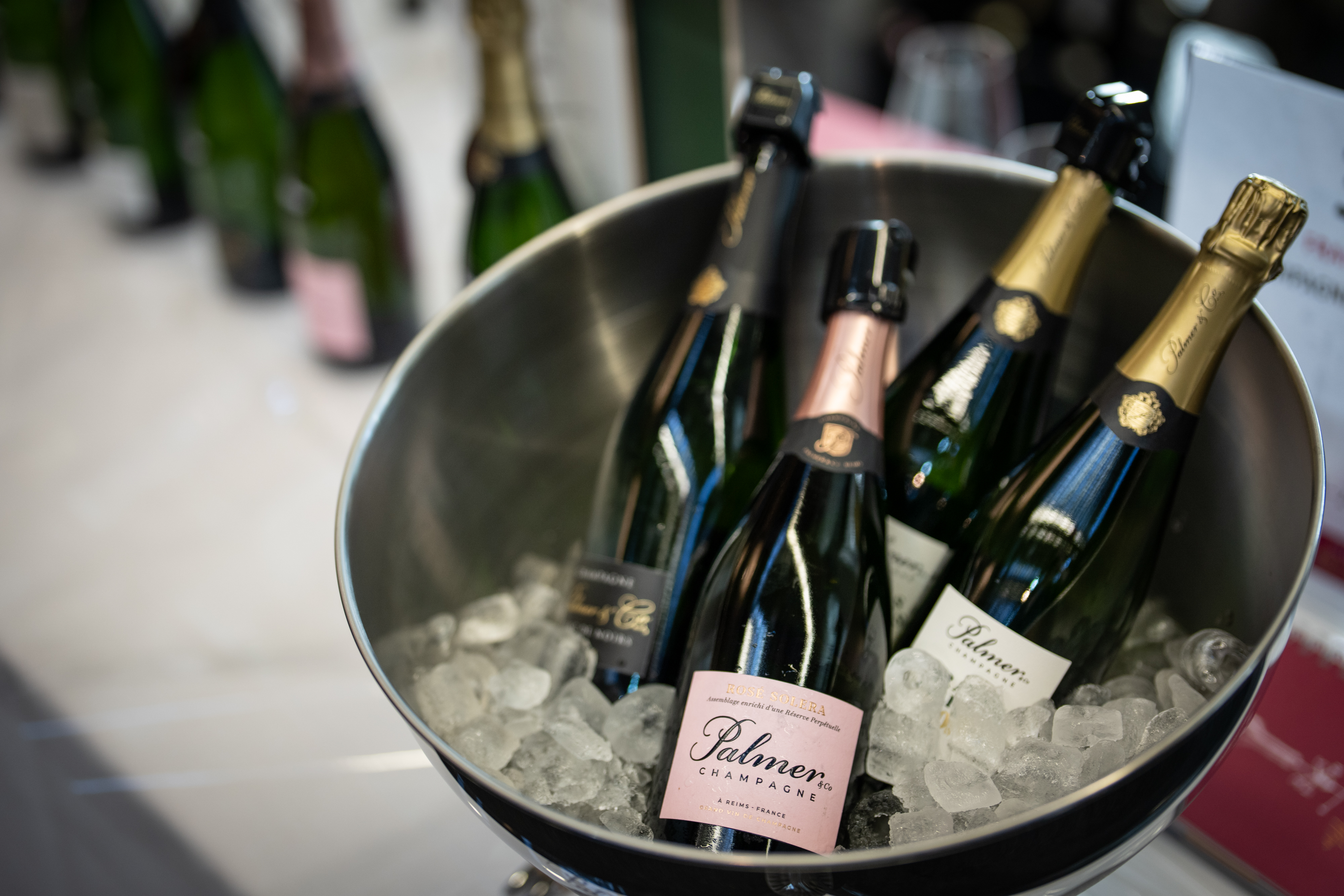 Hallgarten Tasting