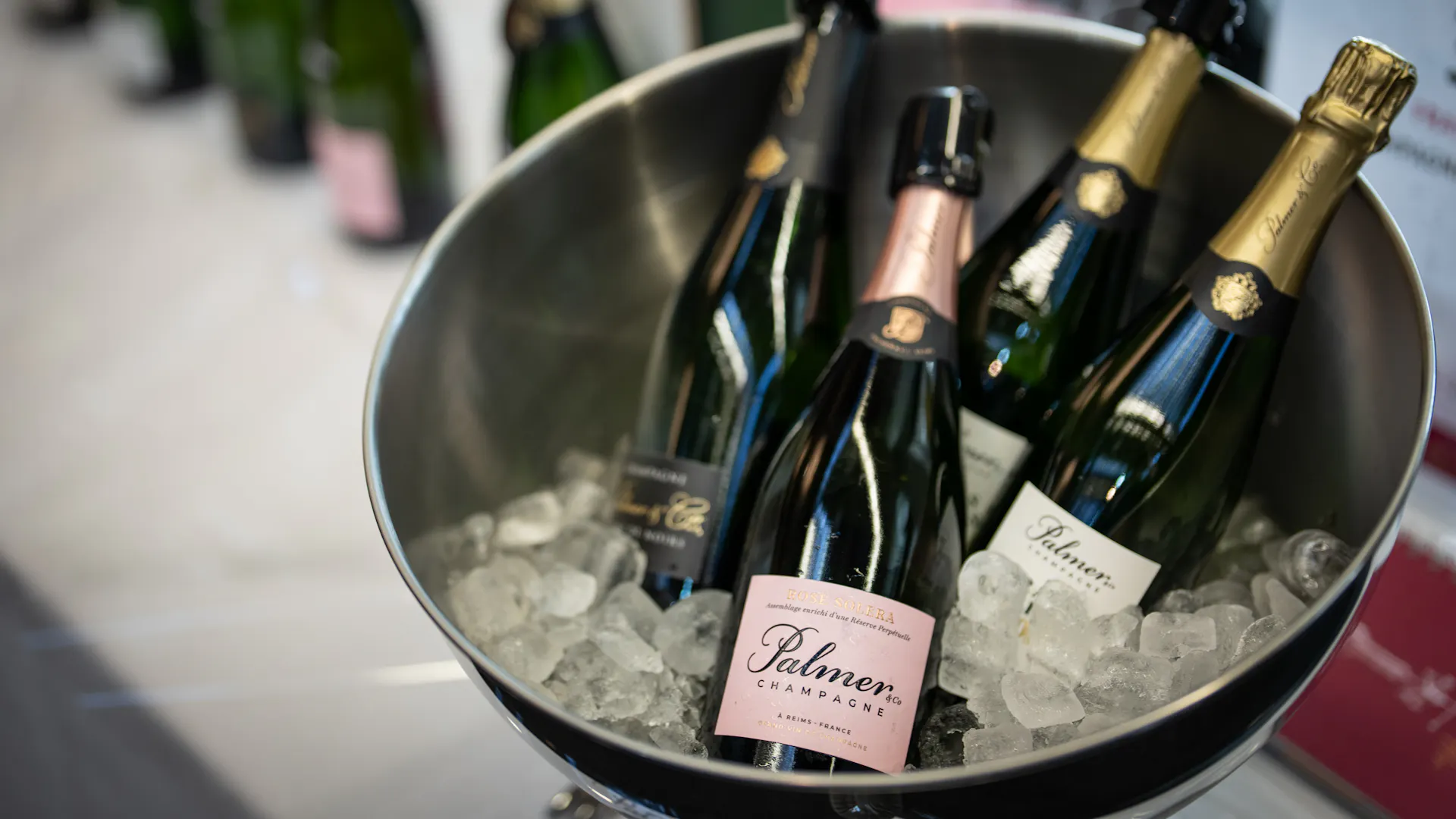Hallgarten Tasting