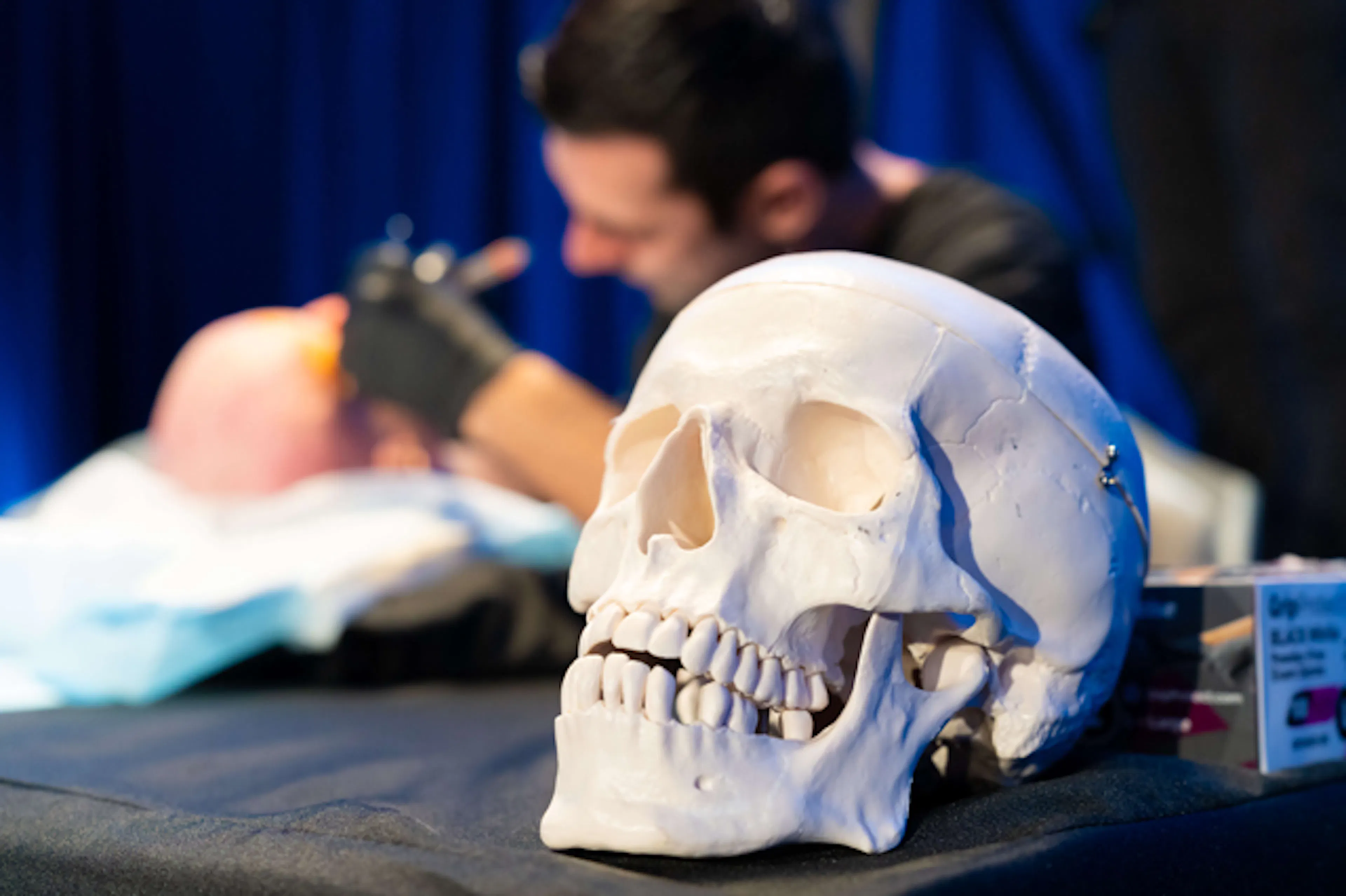 Prof Cotofana working on a cadaver with a human skull in the foreground