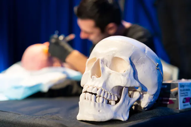 Prof Cotofana working on a cadaver with a human skull in the foreground