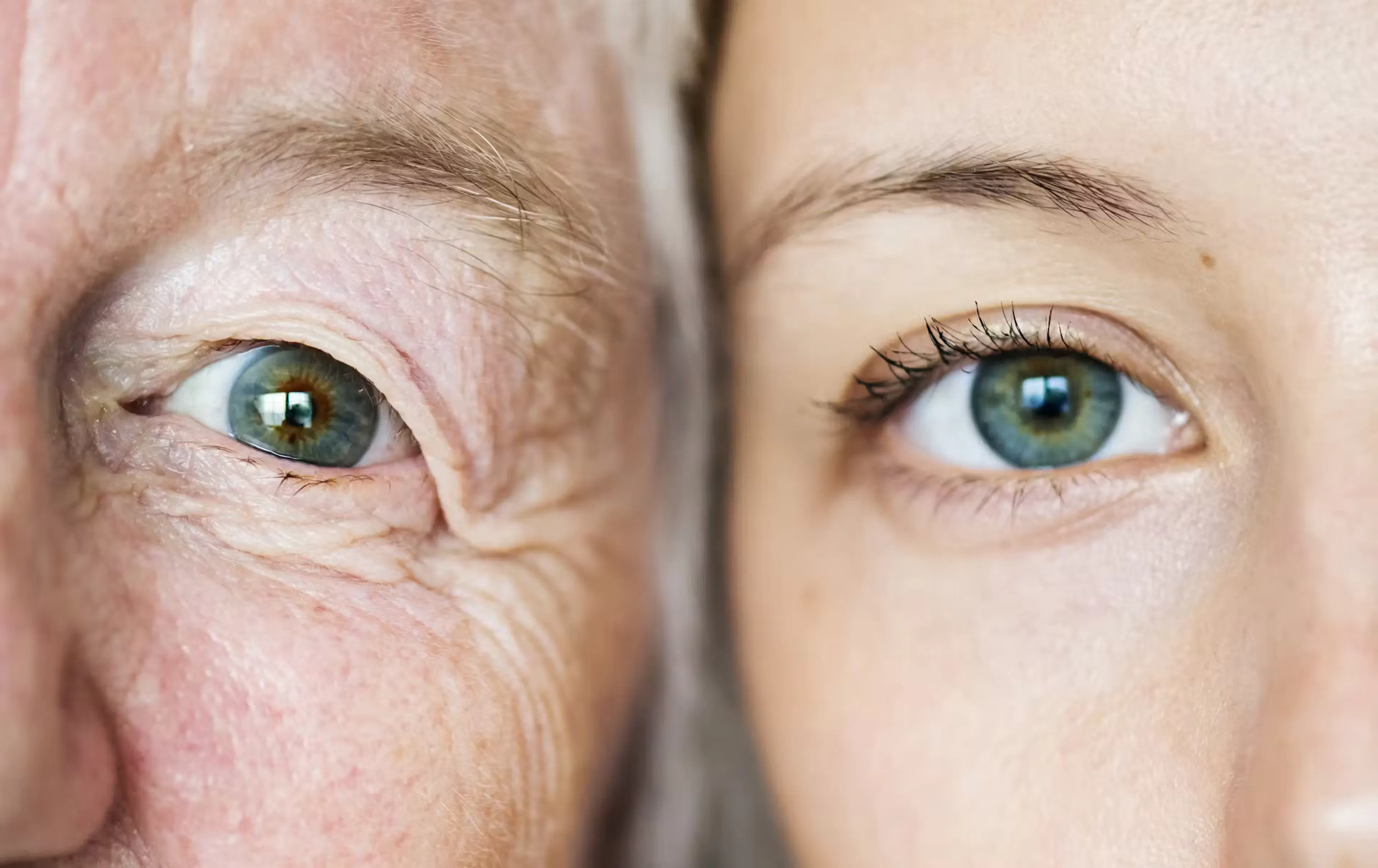 A photograph of ageing female faces
