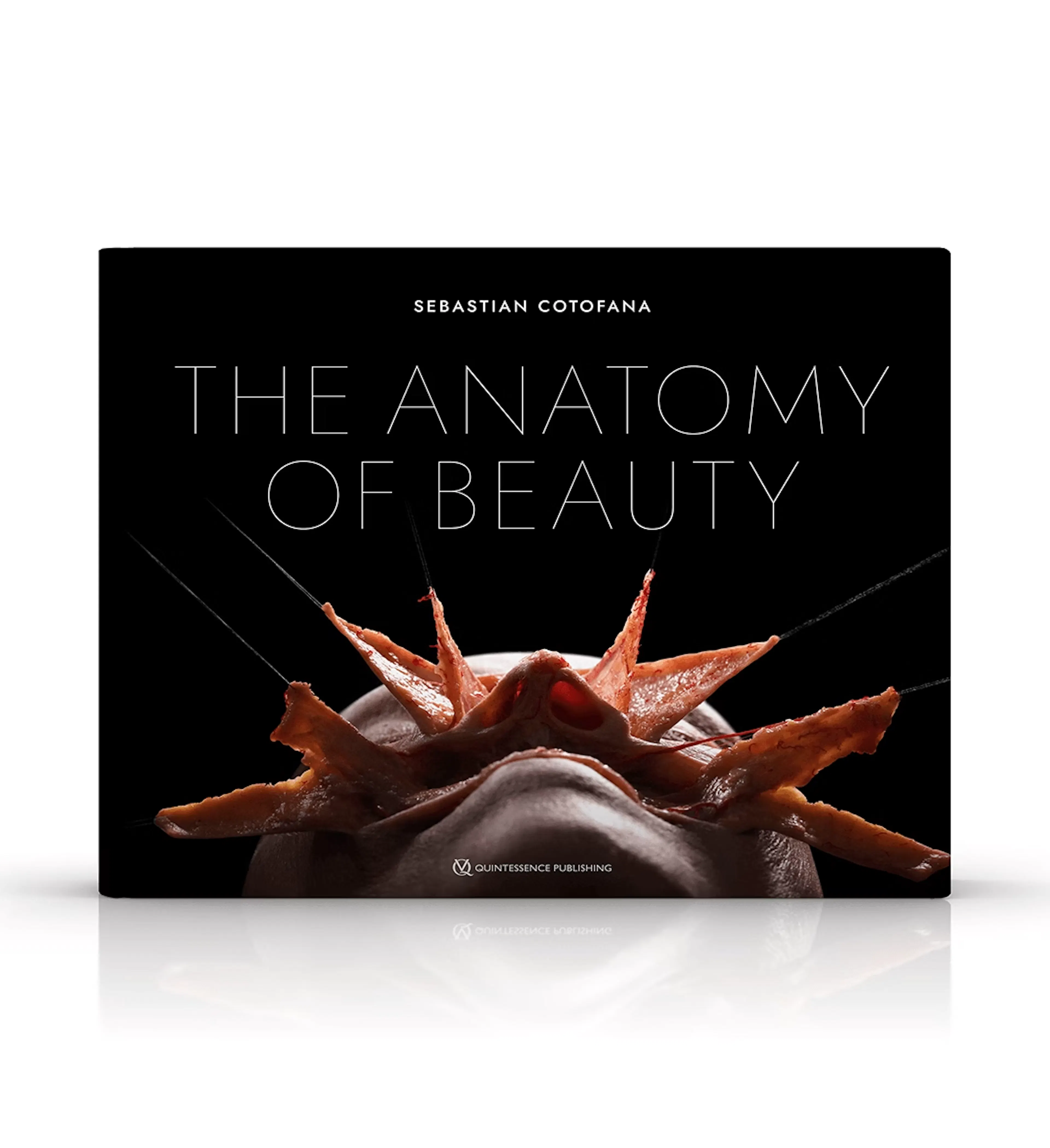The anatomy of beauty