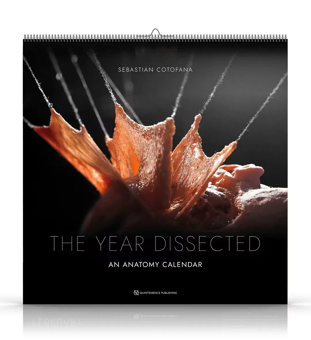 The Year Dissected Calendar