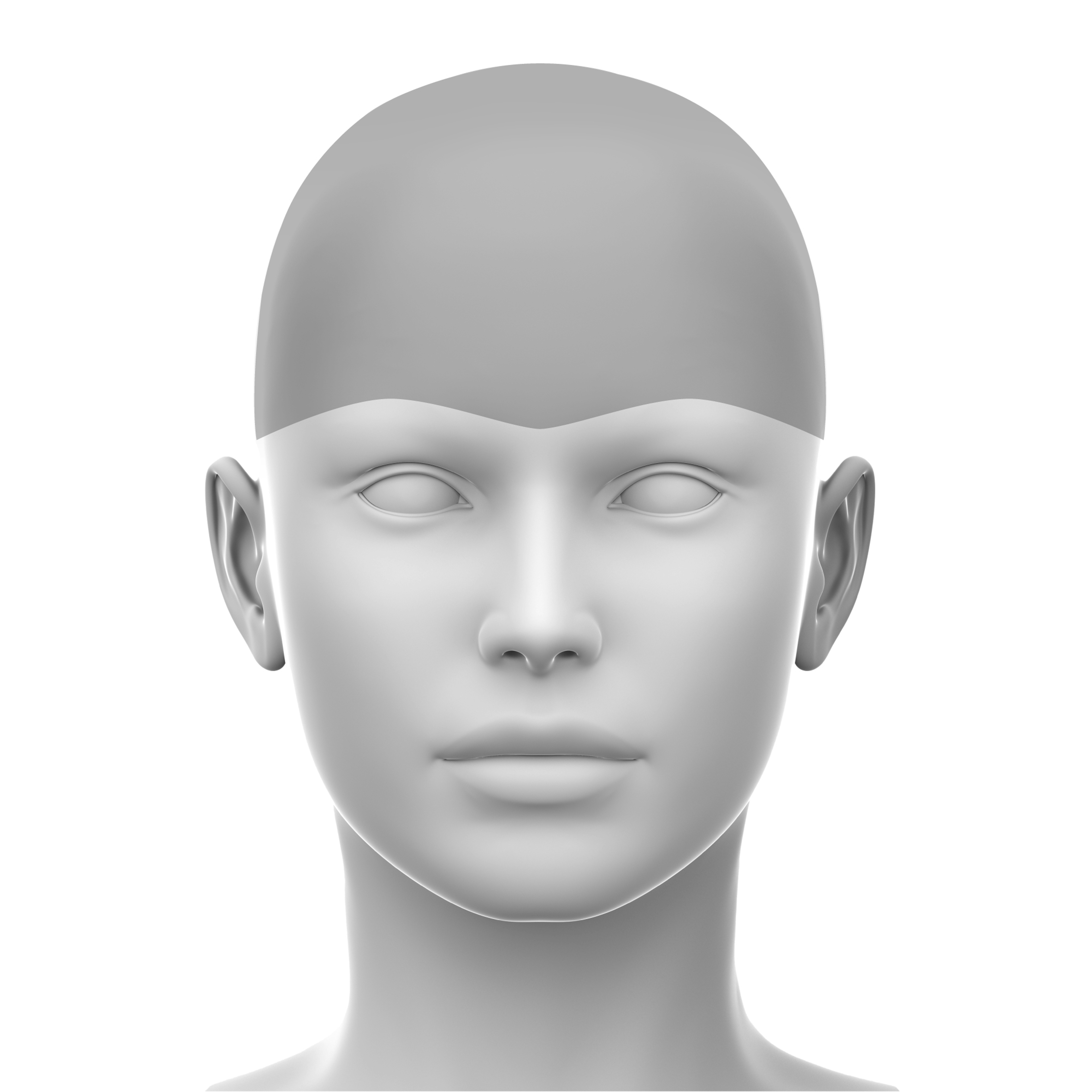 Diagrammatic image showing the upper face region