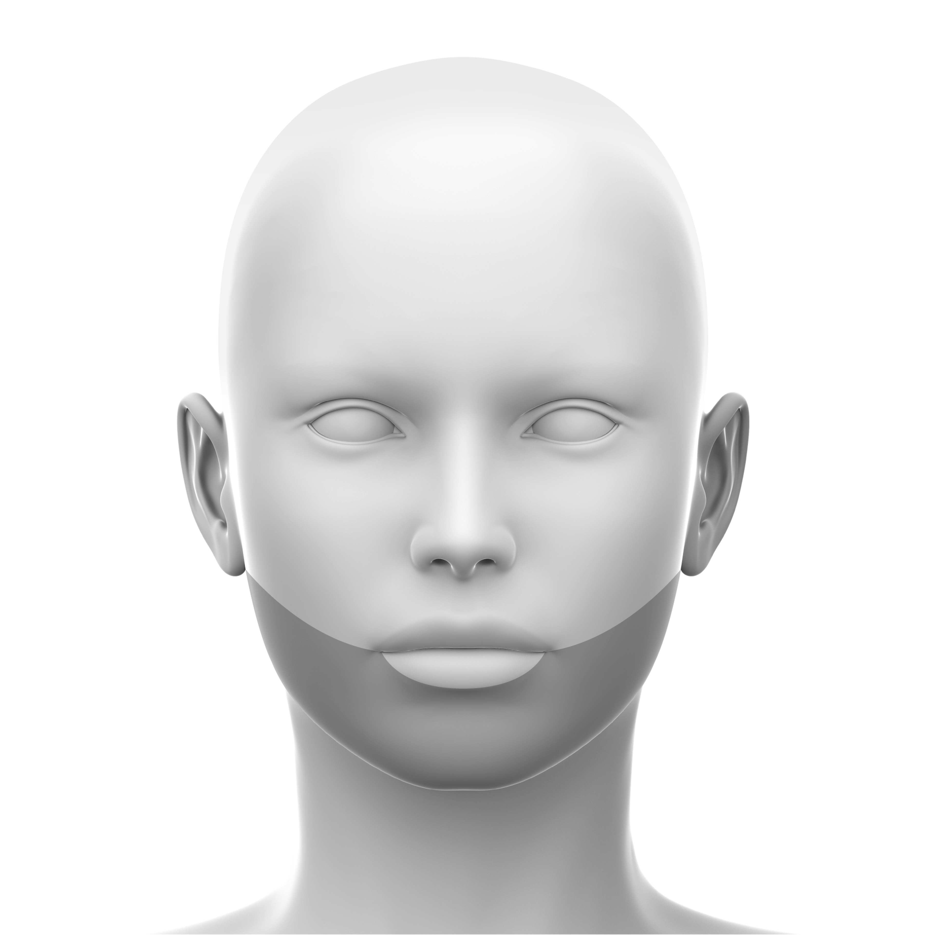Diagrammatic image showing the lower face region