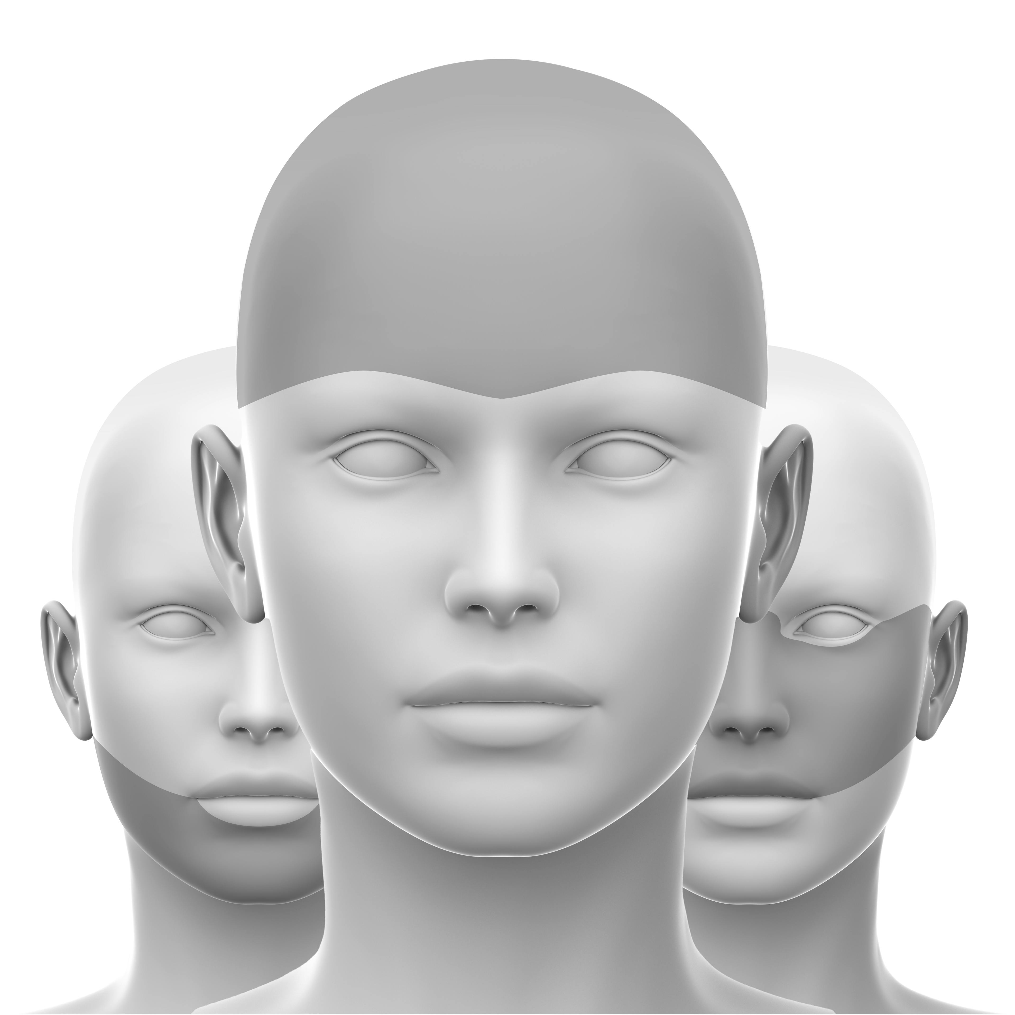 Anatomic Dissection Reviews for Neuromodulators Online Course Bundle Image