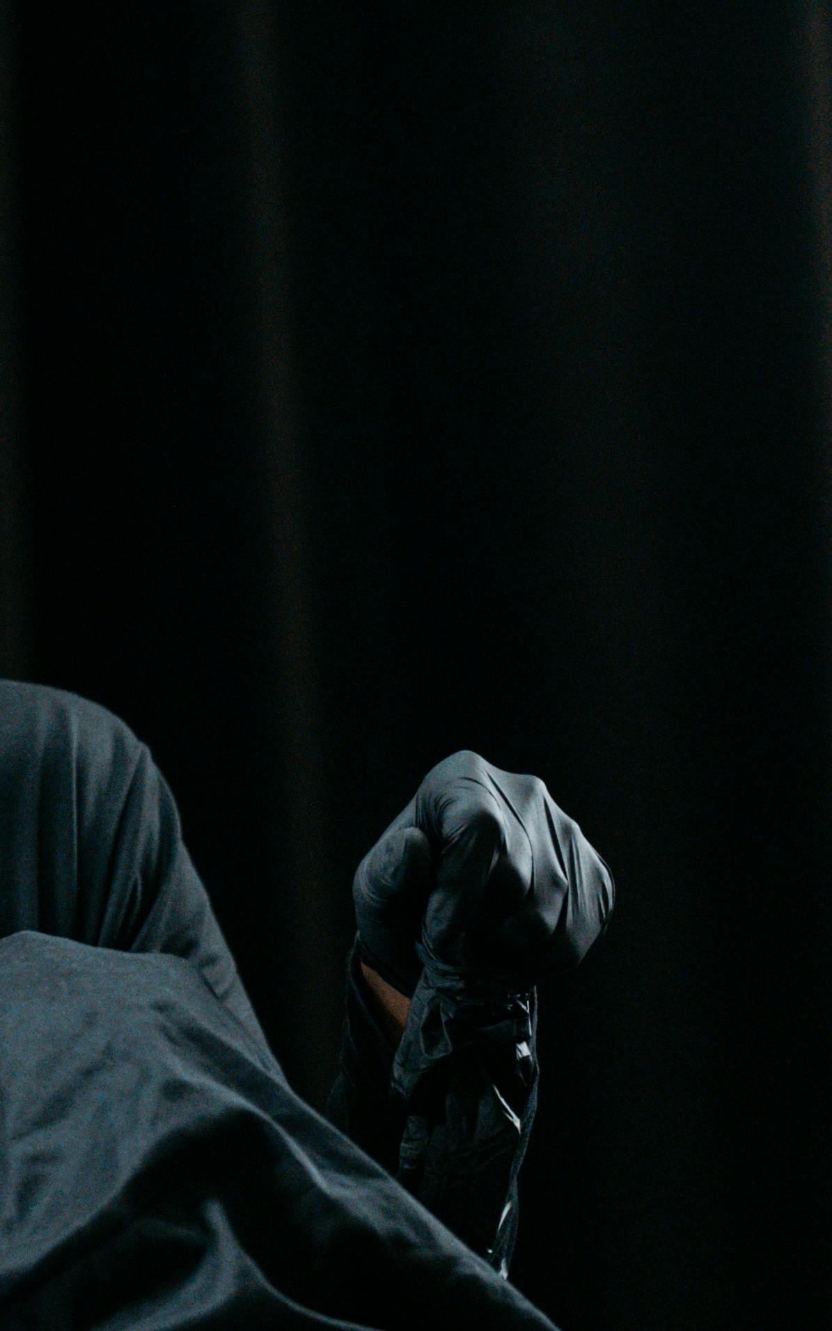 Cotofana during a masterclass lecture