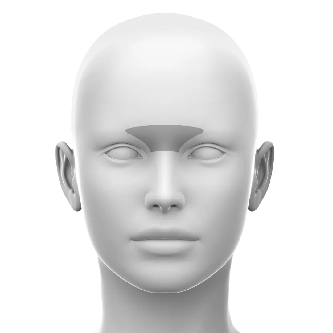Glabella Online Course Cotofana Anatomy glabella-online-course-cotofana-anatomy