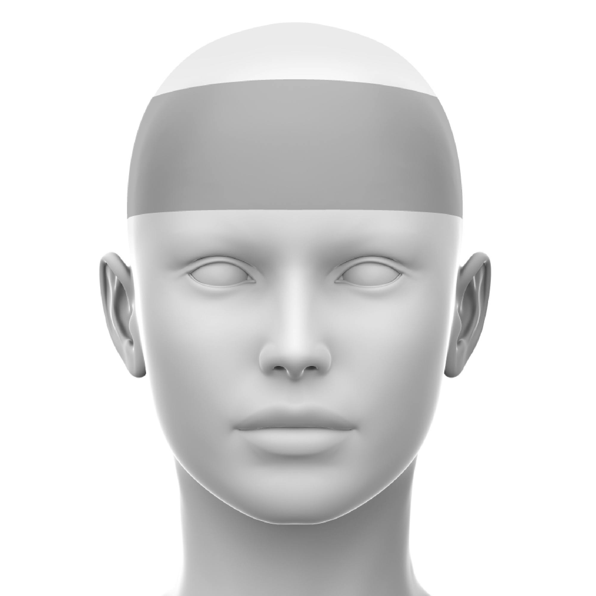 Frontalis muscle online course
