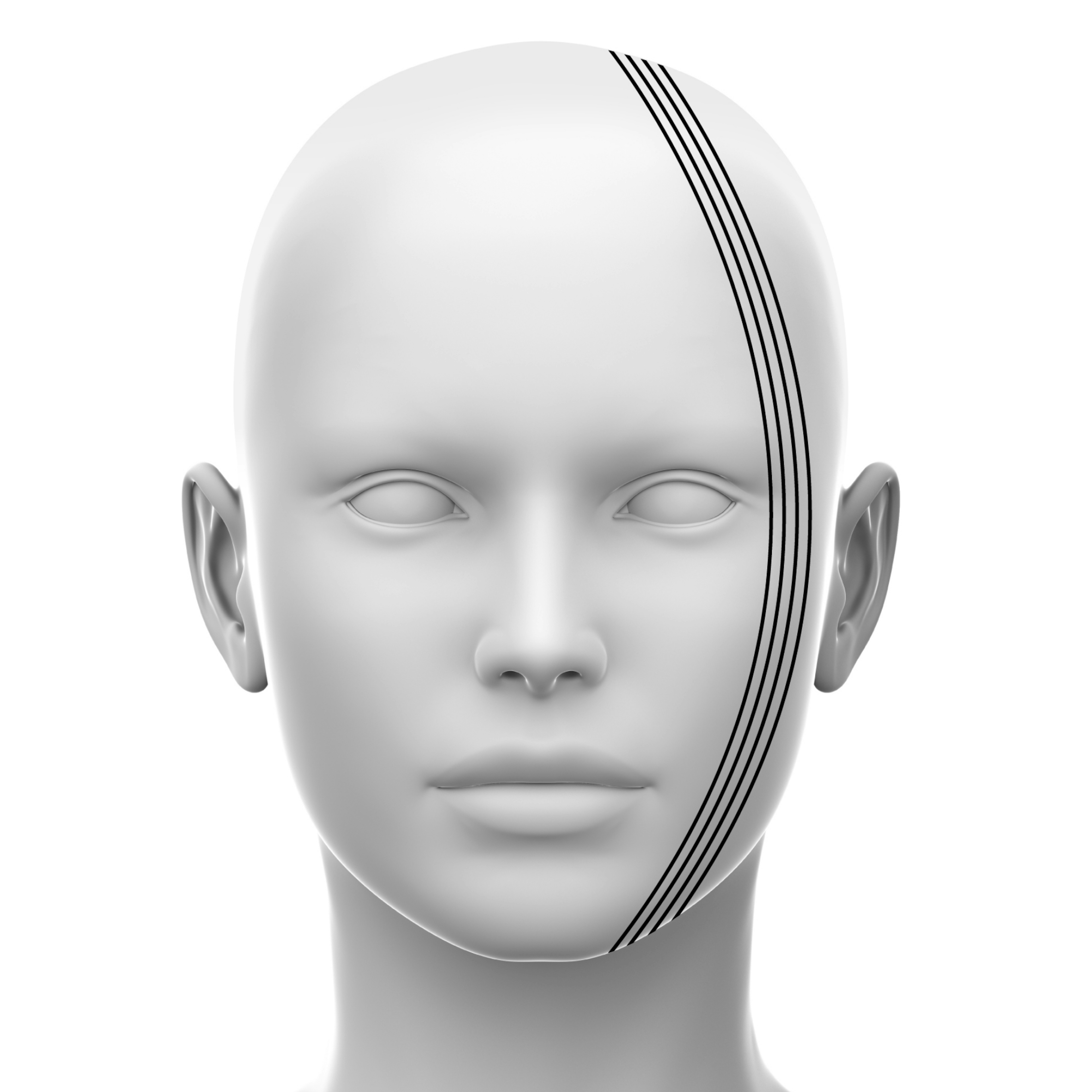 Layers of the Face online course