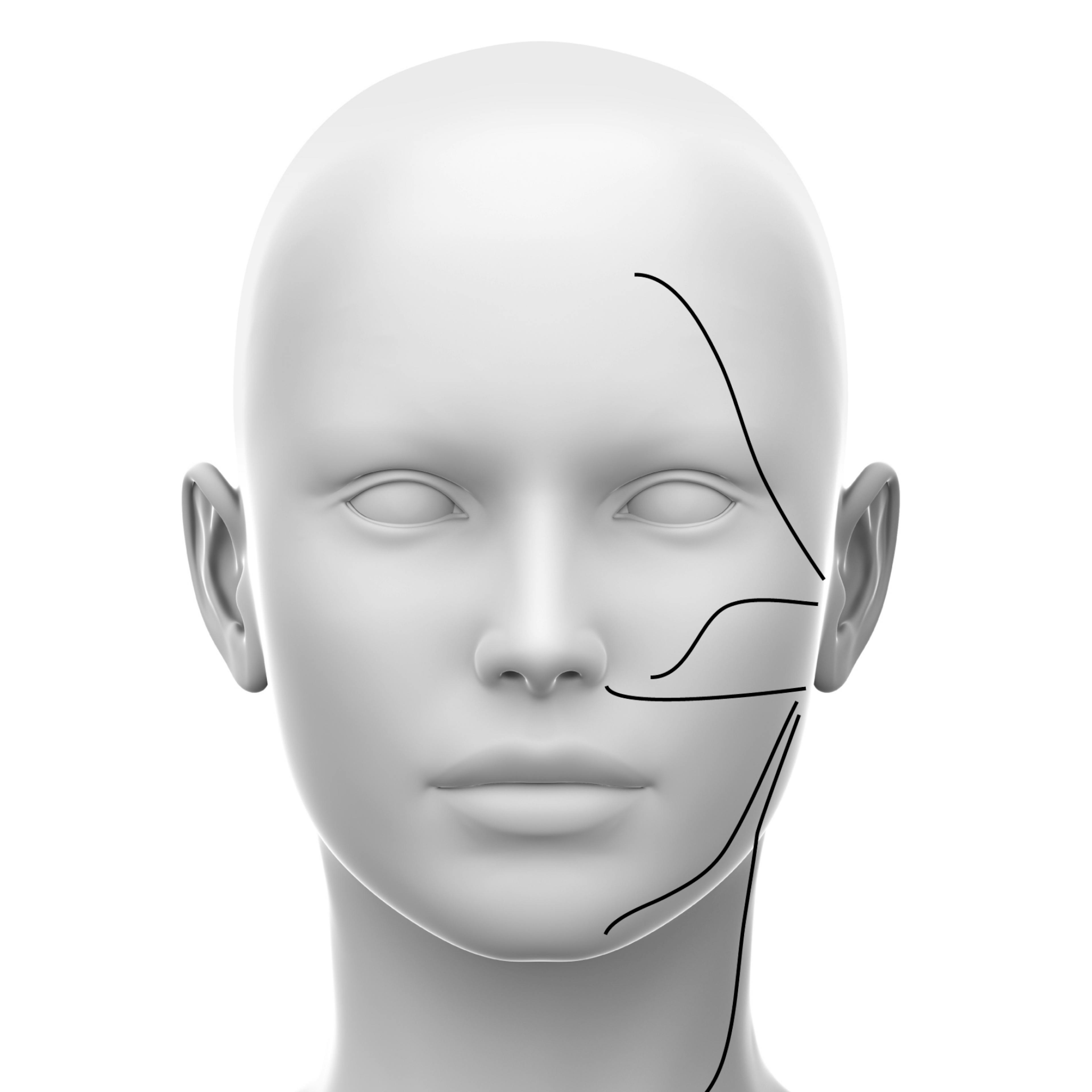 Facial Nerve online course