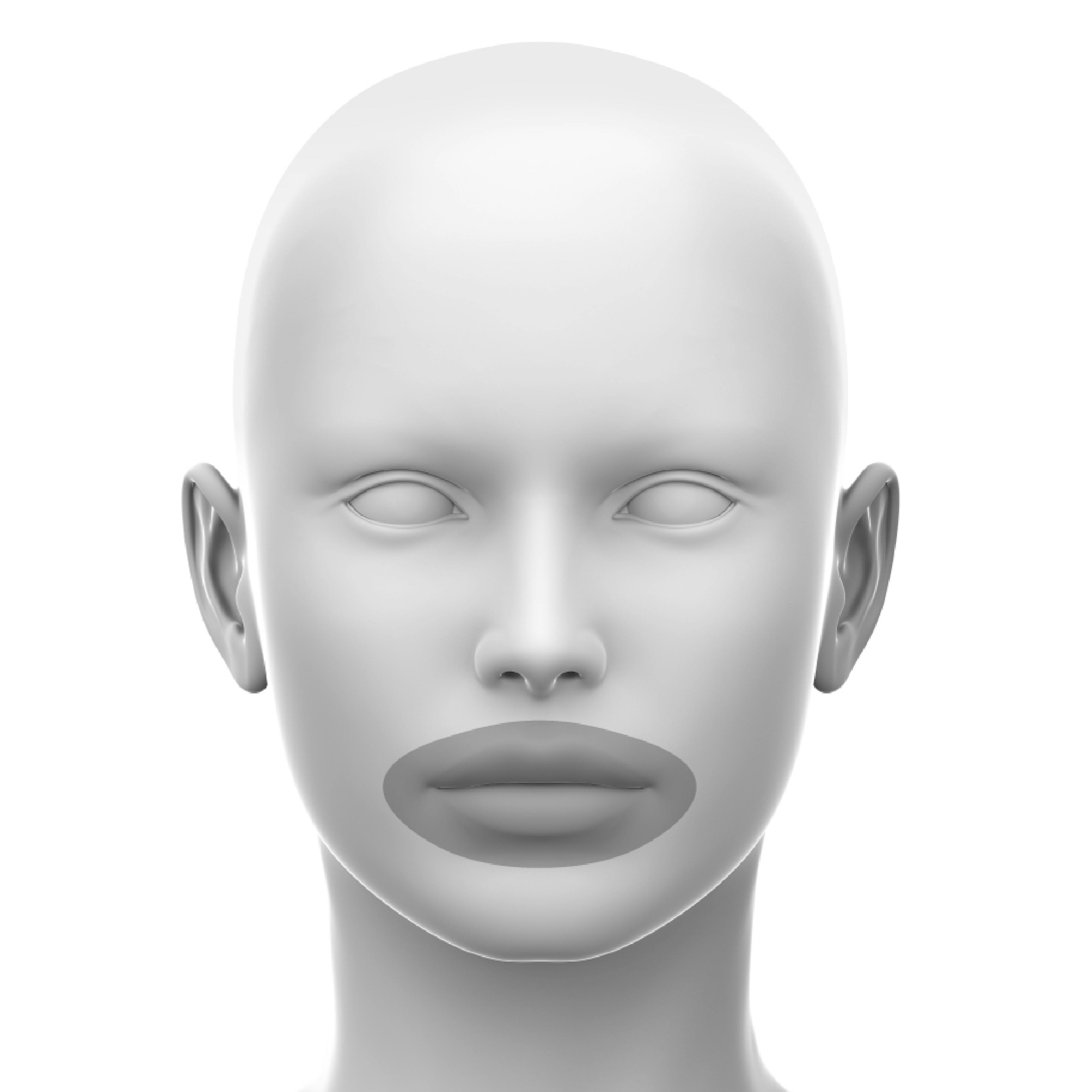 orbicularis oris muscle