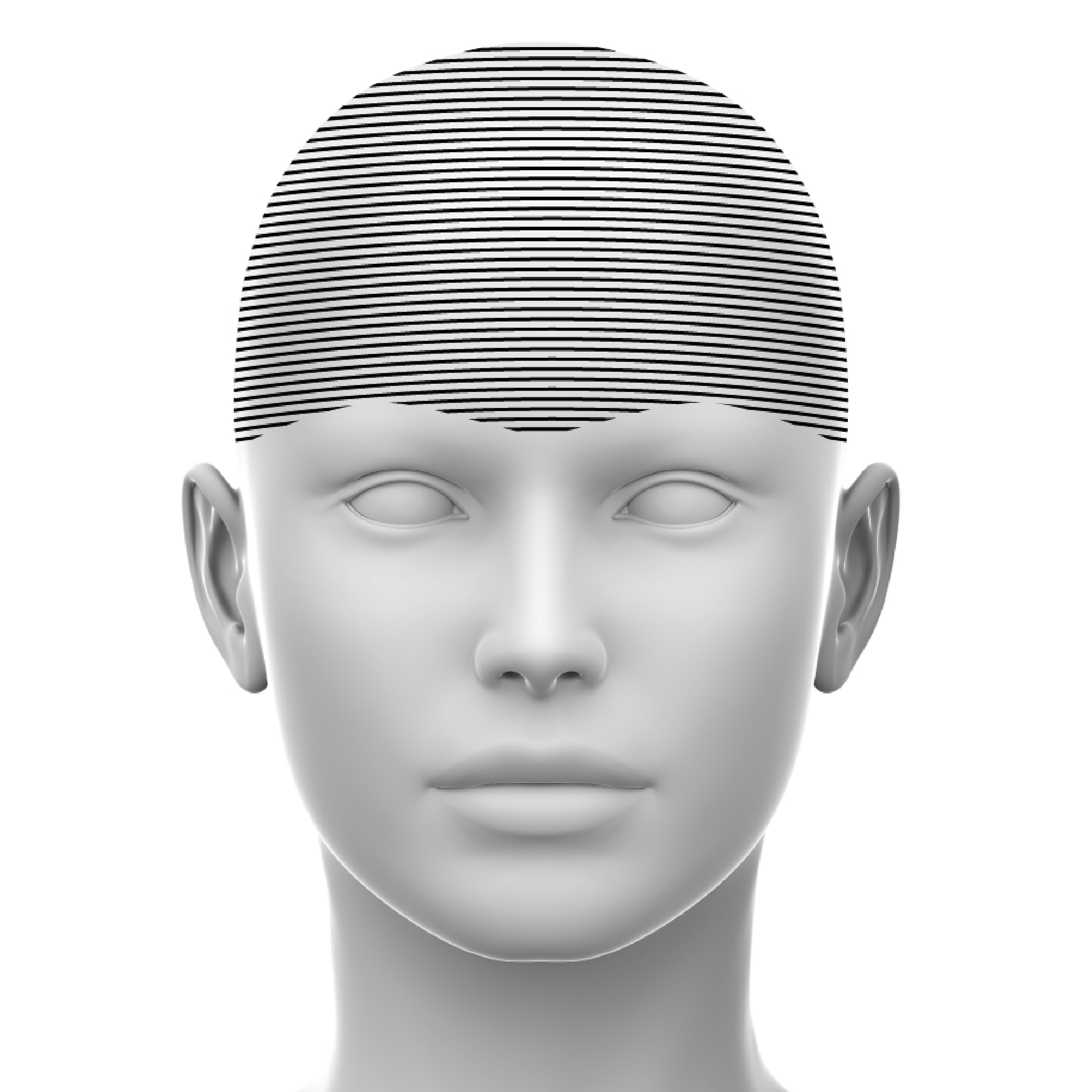 Diagrammatic upper face region image